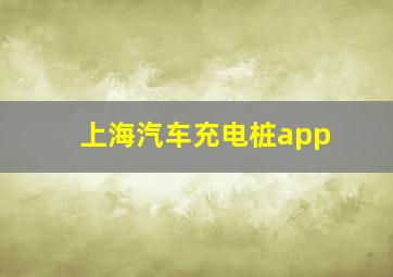 上海汽车充电桩app