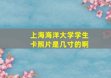 上海海洋大学学生卡照片是几寸的啊