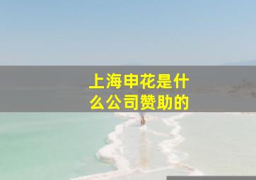 上海申花是什么公司赞助的