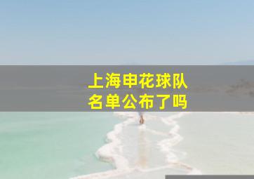 上海申花球队名单公布了吗