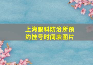 上海眼科防治所预约挂号时间表图片