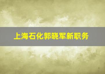 上海石化郭晓军新职务