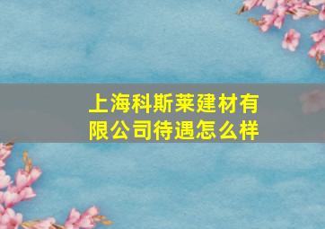 上海科斯莱建材有限公司待遇怎么样