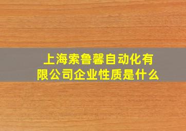 上海索鲁馨自动化有限公司企业性质是什么