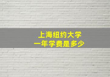 上海纽约大学一年学费是多少