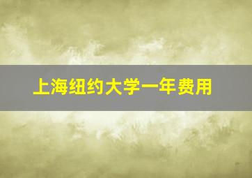 上海纽约大学一年费用