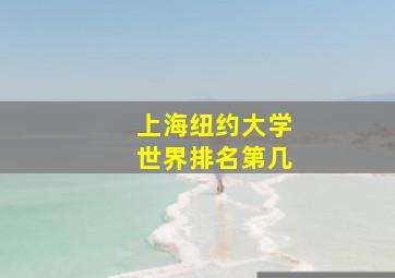 上海纽约大学世界排名第几