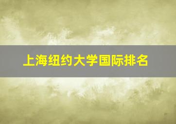 上海纽约大学国际排名