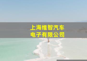 上海维智汽车电子有限公司