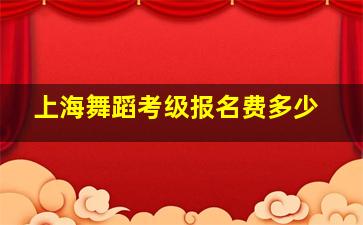 上海舞蹈考级报名费多少