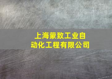 上海蒙致工业自动化工程有限公司