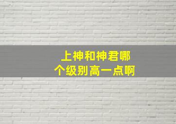 上神和神君哪个级别高一点啊