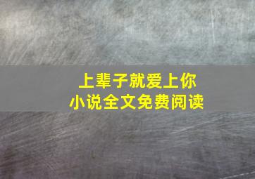 上辈子就爱上你小说全文免费阅读