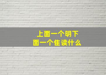 上面一个明下面一个隹读什么