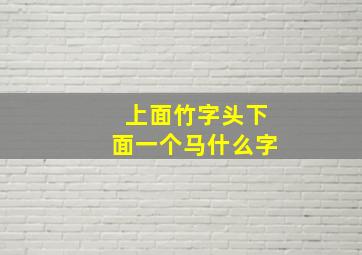 上面竹字头下面一个马什么字