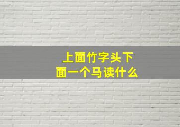 上面竹字头下面一个马读什么