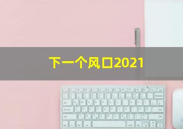 下一个风口2021