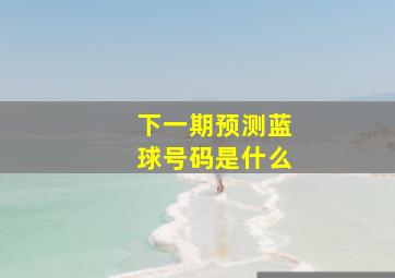 下一期预测蓝球号码是什么