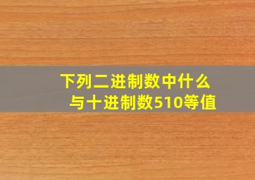 下列二进制数中什么与十进制数510等值