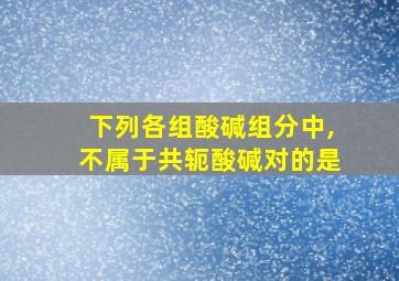 下列各组酸碱组分中,不属于共轭酸碱对的是