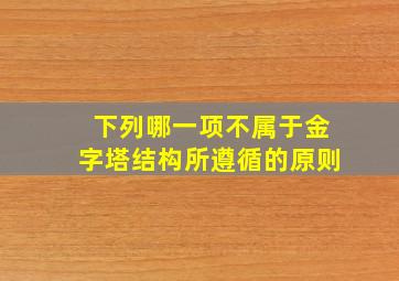 下列哪一项不属于金字塔结构所遵循的原则