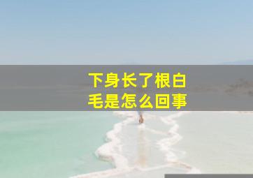 下身长了根白毛是怎么回事