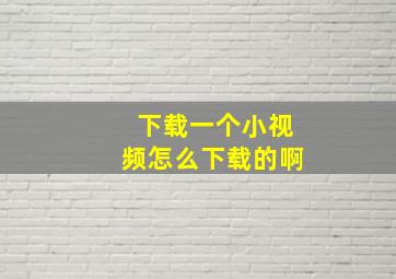 下载一个小视频怎么下载的啊