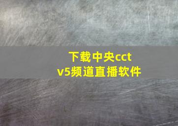 下载中央cctv5频道直播软件