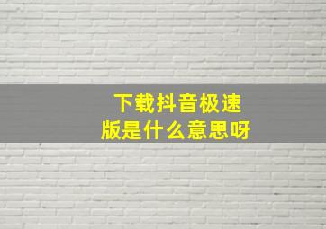 下载抖音极速版是什么意思呀