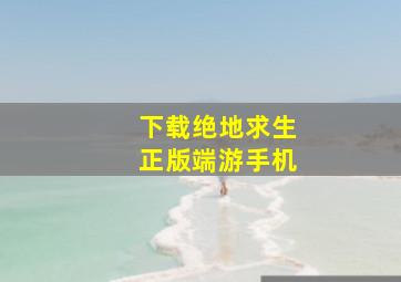 下载绝地求生正版端游手机