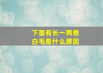 下面有长一两根白毛是什么原因