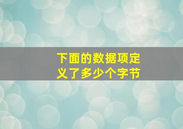 下面的数据项定义了多少个字节