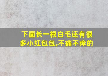 下面长一根白毛还有很多小红包包,不痛不痒的