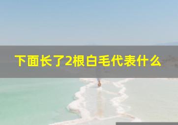 下面长了2根白毛代表什么