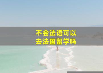 不会法语可以去法国留学吗