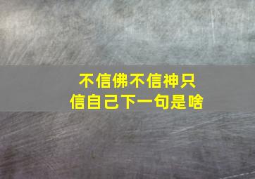 不信佛不信神只信自己下一句是啥