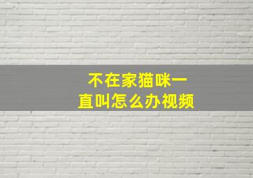 不在家猫咪一直叫怎么办视频