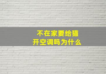 不在家要给猫开空调吗为什么