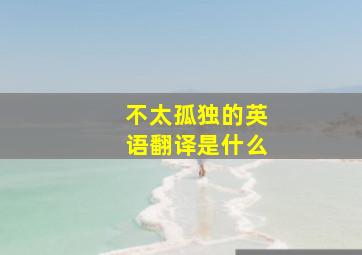 不太孤独的英语翻译是什么