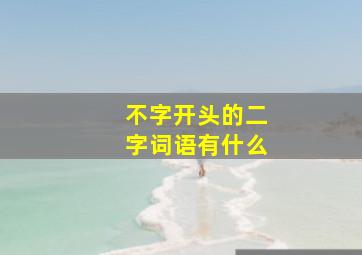 不字开头的二字词语有什么