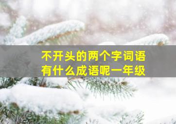 不开头的两个字词语有什么成语呢一年级