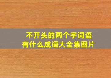 不开头的两个字词语有什么成语大全集图片