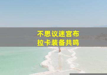 不思议迷宫布拉卡装备共鸣