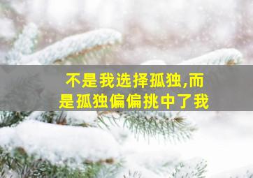 不是我选择孤独,而是孤独偏偏挑中了我