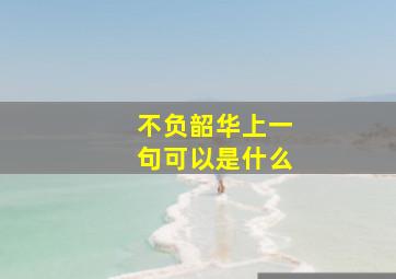 不负韶华上一句可以是什么