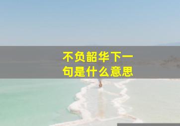 不负韶华下一句是什么意思