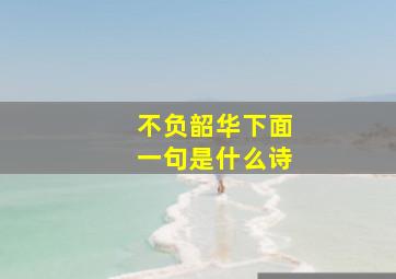 不负韶华下面一句是什么诗