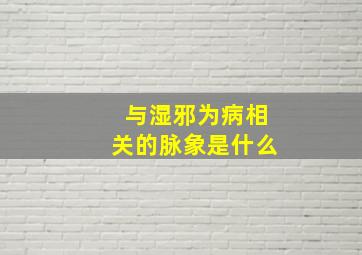 与湿邪为病相关的脉象是什么