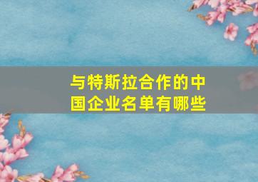 与特斯拉合作的中国企业名单有哪些