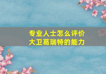 专业人士怎么评价大卫葛瑞特的能力